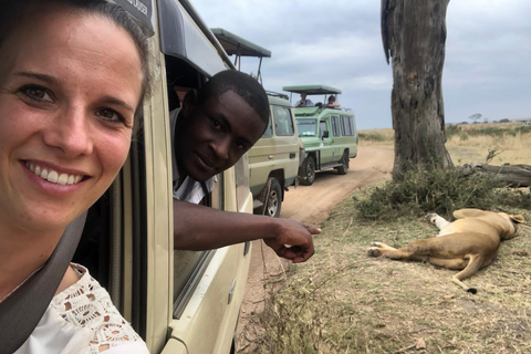 2-dniowe safari w obiekcie klasy średniej w Tarangire i Ngorongoro