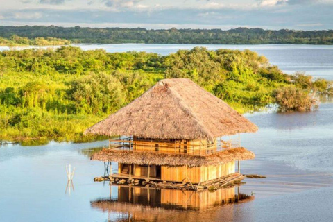 Explore Iquitos: 3 Days of Adventure on the Yanayacu River