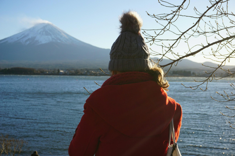 Från Tokyo: Fuji-berget eller Hakone Sightseeing Privat dagstur