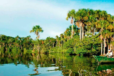 From Puerto Maldonado || Jungle trekking + Sandoval Lake ||