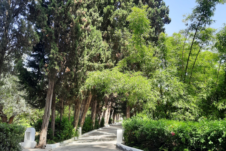 Half-Day Hammamet: History, Gardens, and Medina Half-Day Hammamet Tour: History, Gardens, and Medina