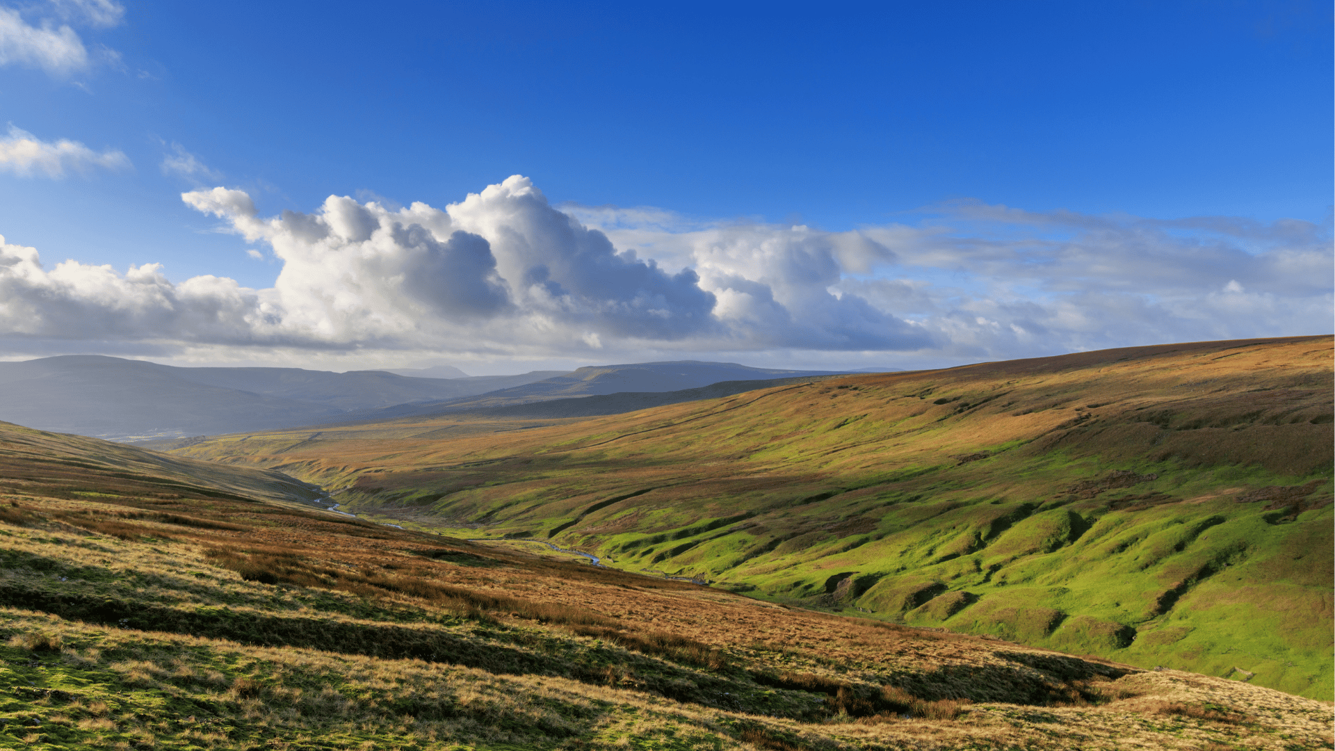 Ab Windermere: Tour zu den Drehorten von „Der Doktor und das liebe Vieh“