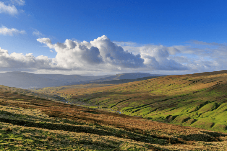 All Creatures Great & Small Tour from Windermere