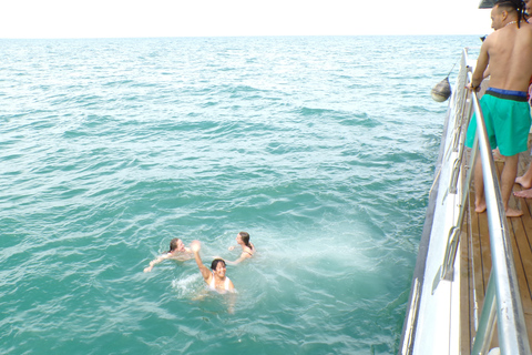 Valência: Cruzeiro de Catamarã com Parada para Nadar