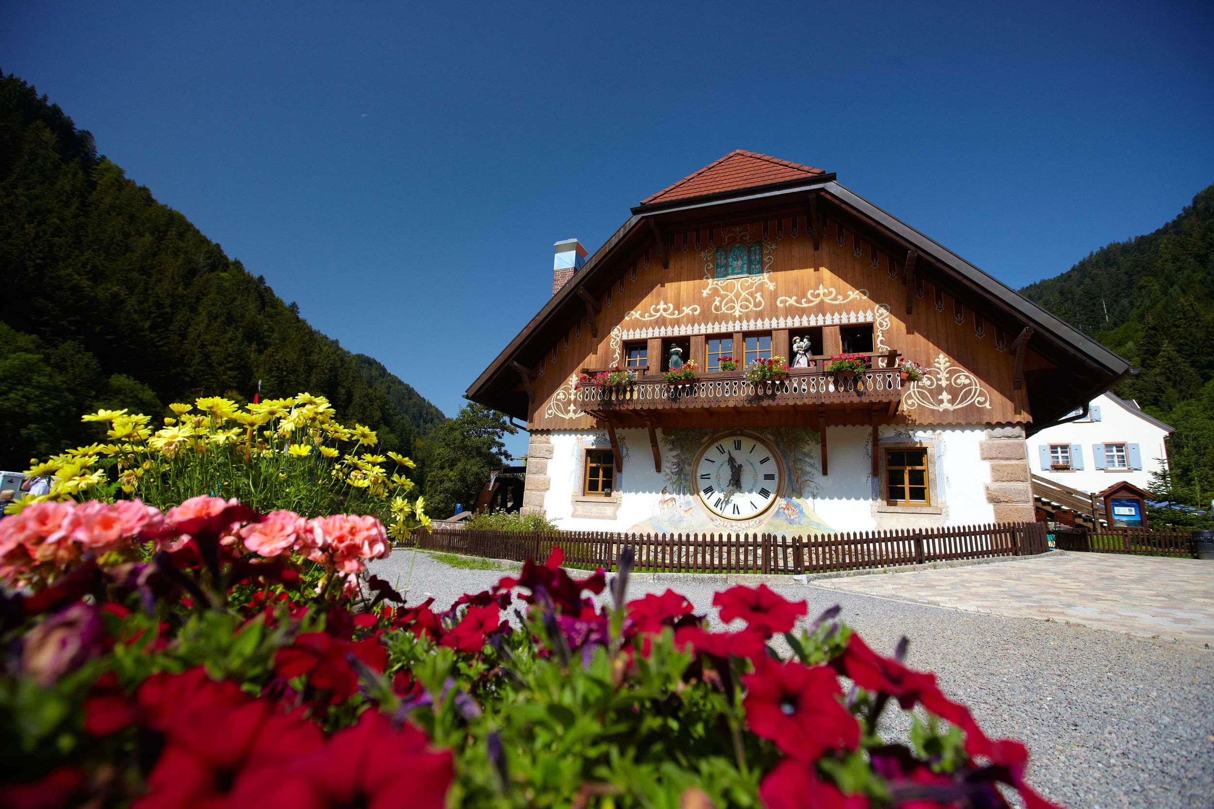 Ab Basel: Tagestour zum Titisee, zum Ravenna-Viadukt und nach St. Blasien