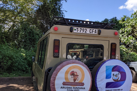 Arusha: excursión de un día al Santuario de Vida Silvestre Serval con almuerzoArusha: excursión de un día al Santuario de Vida Silvestre Serval con almuerzo incluido