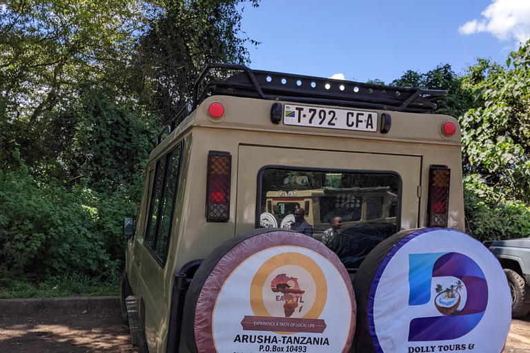 Arusha: excursión de un día al Santuario de Vida Silvestre Serval con almuerzoArusha: excursión de un día al Santuario de Vida Silvestre Serval con almuerzo incluido