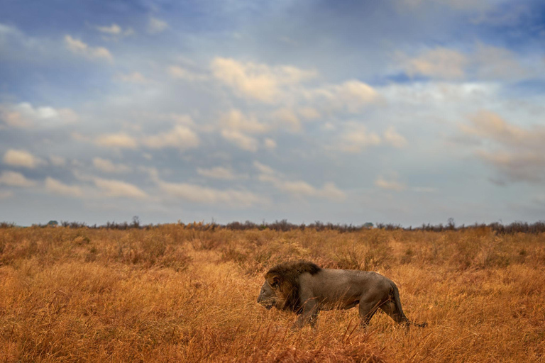 Botswana: Savuti, Khwai, & Moremi 7-Day Mobile Safari