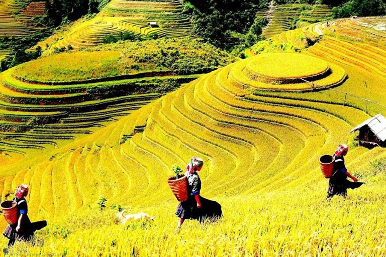 Mai Chau: Scenic Pass, Cycling & Thai Village Discovery Group Tour
