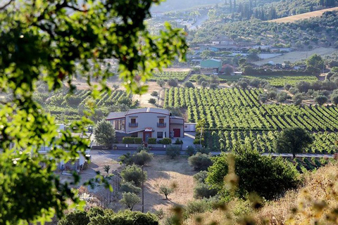 Nemea: Prova de vinhos com pratos locais