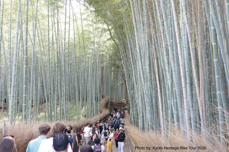 Kyoto: E-Bike Tour of Palace, Castle, Temples & Hidden Gems