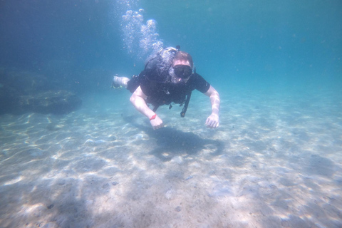 Playa de Ciudad de Panamá: Excursión de buceo para principiantes