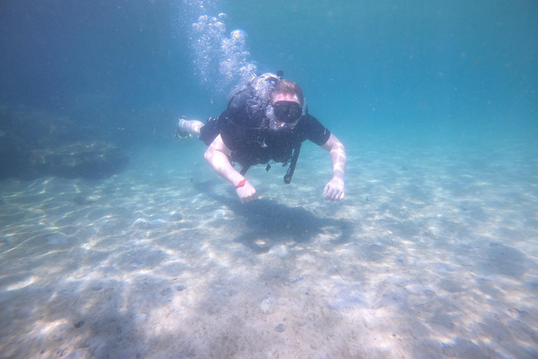 Playa de Ciudad de Panamá: Excursión de buceo para principiantes