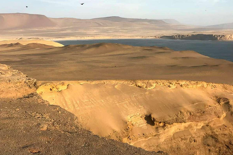 Från Ica: Ballestasöarna + Paracas nationalreservat