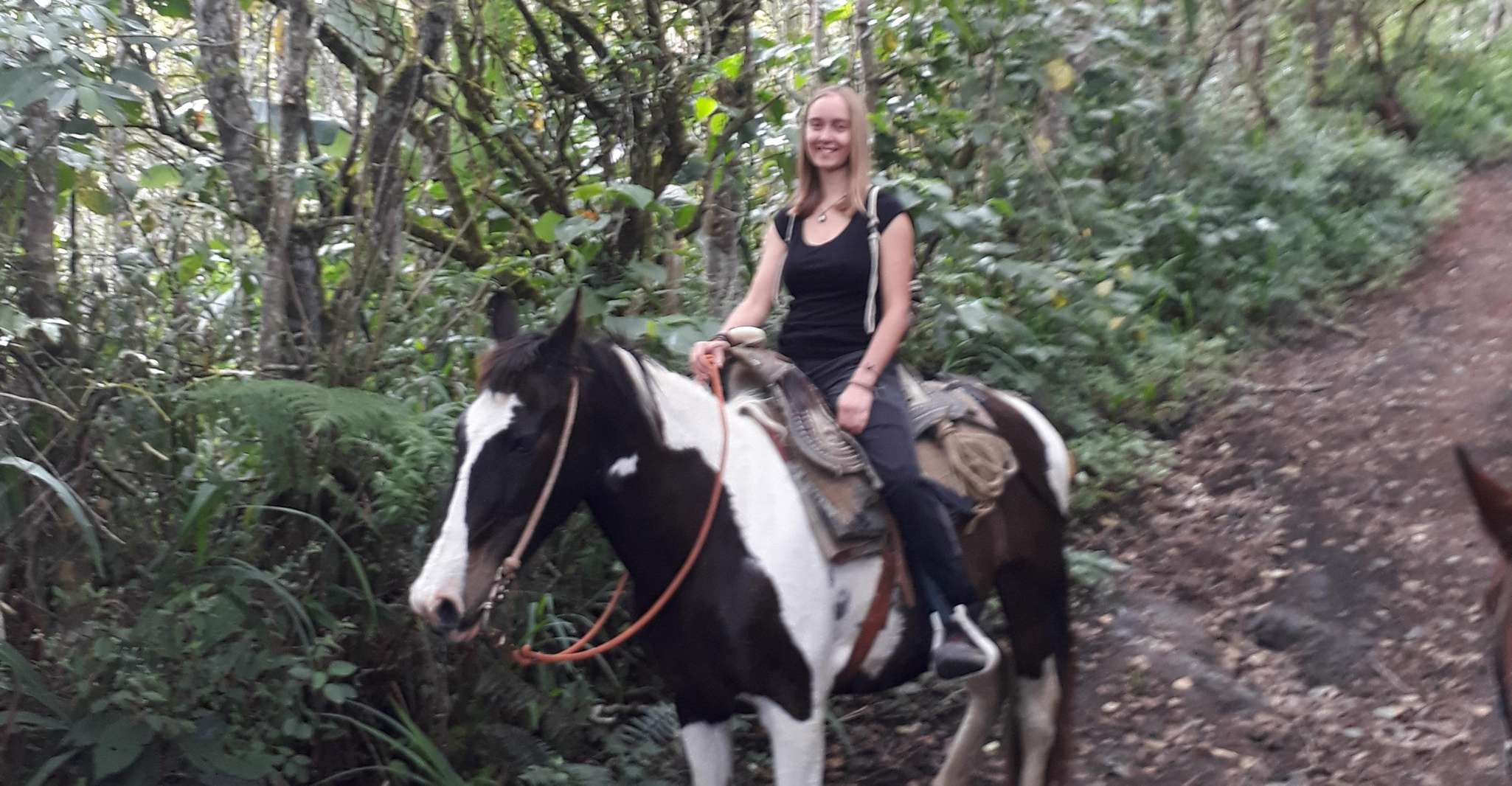 Baños, 5 Hours Horseback Riding with Tungurahua Views - Housity