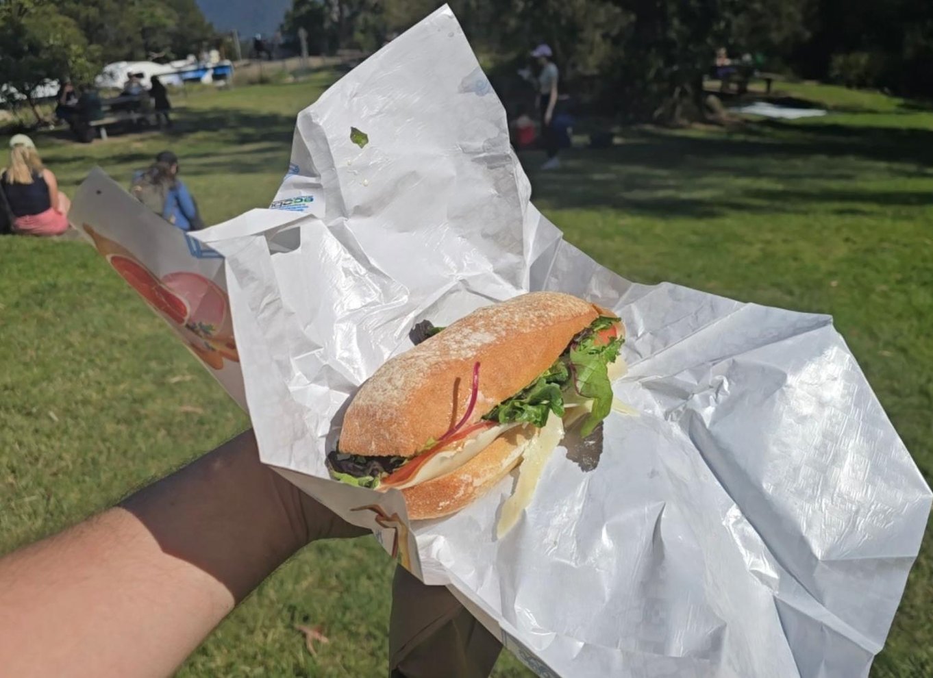 Fra Sydney: Blue Mountains-tur med vandfaldsvandring og frokost