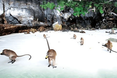 Phuket; Phi Phi, Maya Bay, Bamboe &amp; Rang Eiland per Speedboot