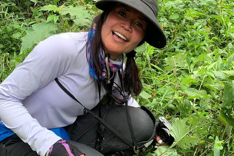 1 Day gorilla trekking safari tour, volcanoes national park.