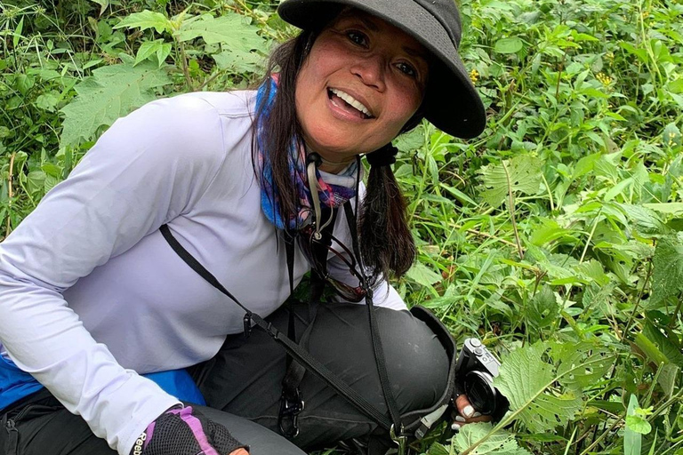 1 Day gorilla trekking safari tour, volcanoes national park.
