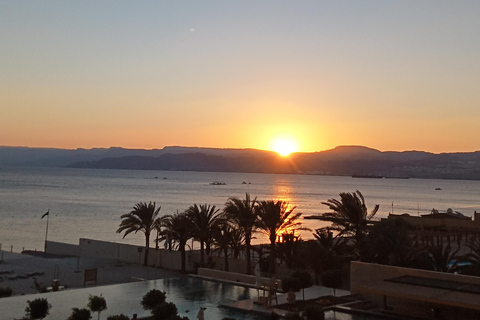 Amman: Dead Sea, Lot's Wife, & Blue Mosque Tour with Lunch Dead Sea only