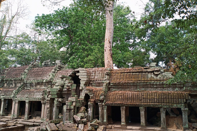 Privat endagstur med soluppgång vid Angkor Wat