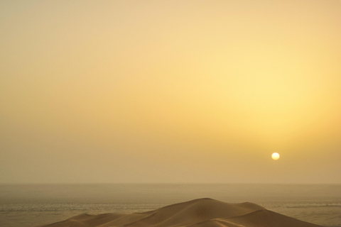 Doha Layover Desert Tour, kamelridning och inlandssjöfartÖkensafari med kamelridning