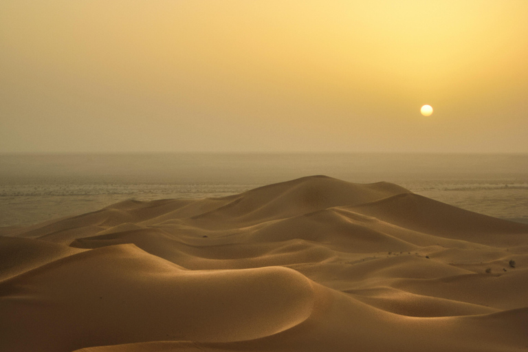 Você pode fazer uma parada em Doha para uma excursão pelo deserto, passeio de camelo e mar interiorSafári no deserto com passeio de camelo