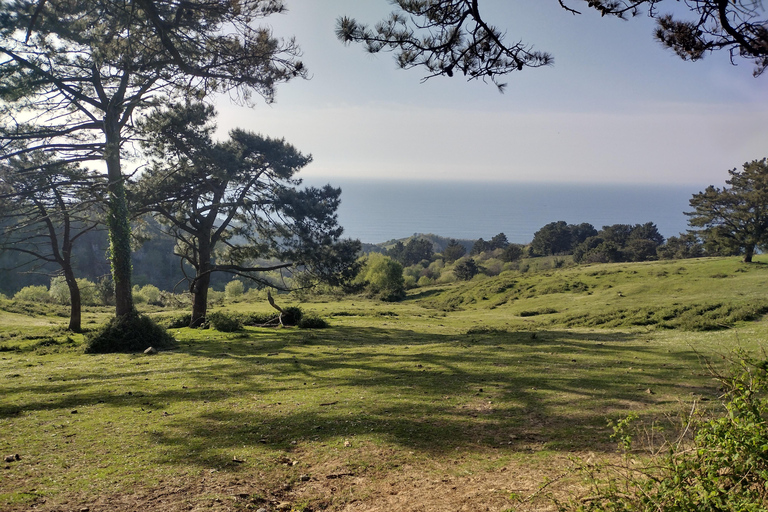 Hidden Heritage: Ultimate Basque Country Off-Road Odyssey
