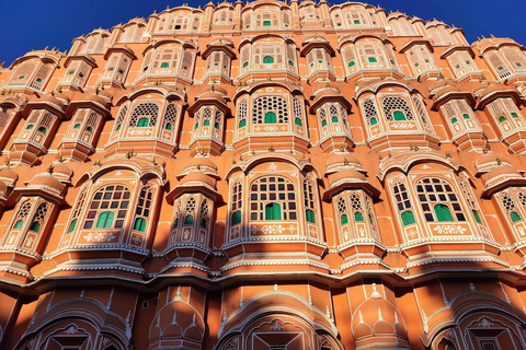 Depuis Delhi : voyage de plusieurs jours dans le Triangle d'Or avec safari tigresVisite du Triangle d'or de 7 jours sans hôtel