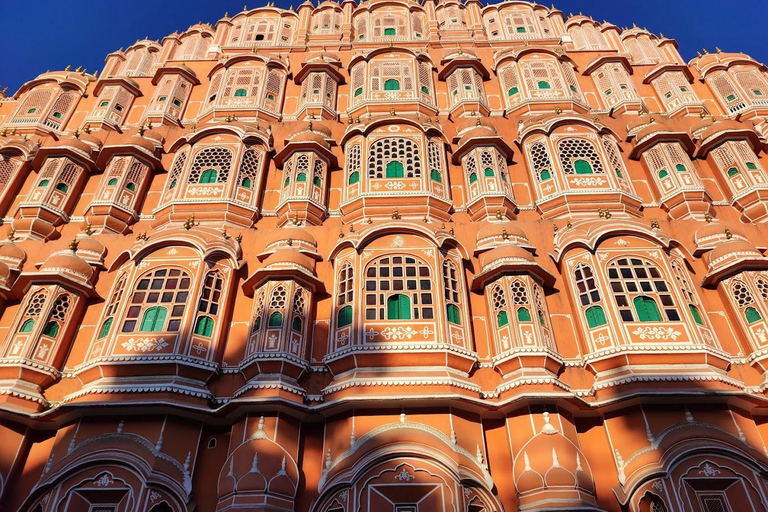 Depuis Delhi : voyage de plusieurs jours dans le Triangle d'Or avec safari tigresVisite du Triangle d'or de 7 jours sans hôtel