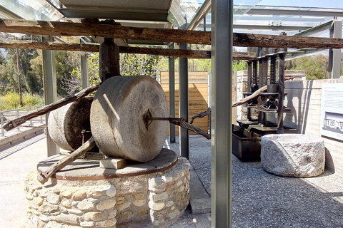 Mystras kasteelstad, Sparta, Olijf Museum Privé Dagtour