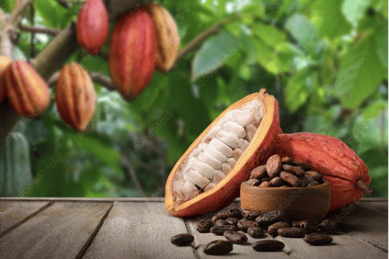 St Lucia Private Transfers: Vacation Mode Activated! CHIC Arrivals: Private Airport Transfers (ROUND TRIP)