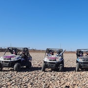Buggy Ride at the Palm Grove and Desert