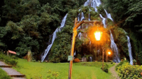 Salento, Cócora and Hot Springs Tour from Pereira or Armenia - Housity