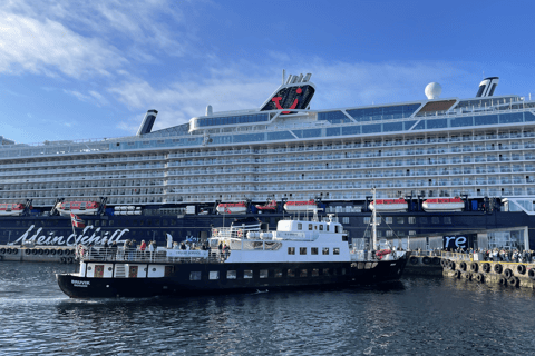 Ålesund: Archipelago Cruise Ålesund Archipelago Cruise