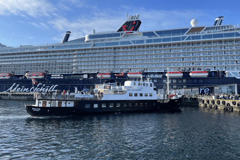 Ålesund: Archipelago Cruise Ålesund Archipelago Cruise