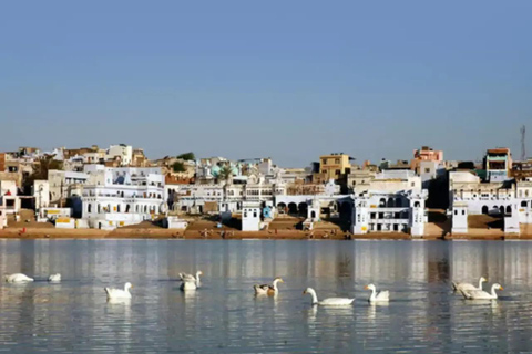 OVERNIGHT TRIP TO PUSHKAR & AJMER FROM JAIPUR