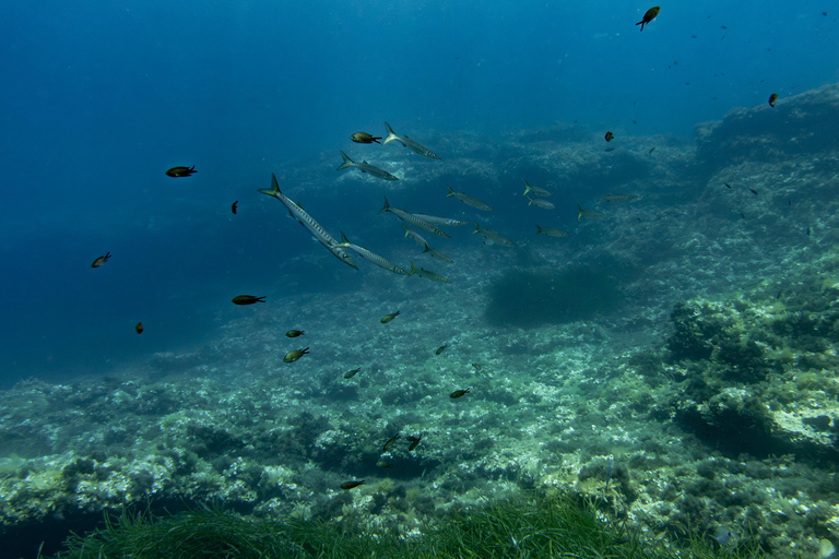 Try Scuba Diving in Cala d'Or – No Experience Needed