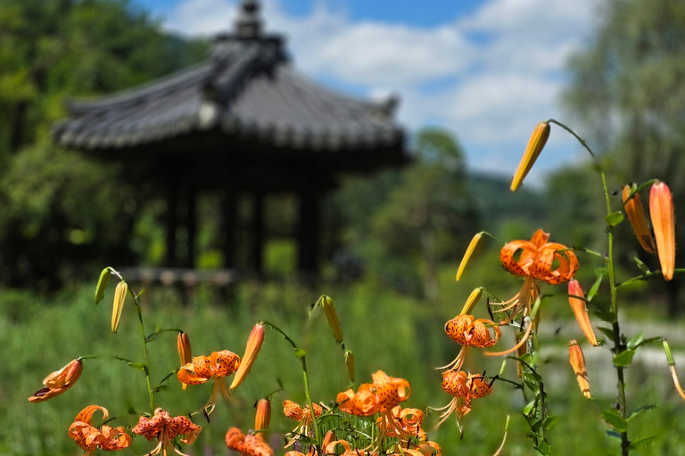 From Seoul: Garden of Morning Calm Day Tour by train