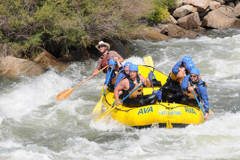 Idaho Springs: Gold Rush Whitewater Rafting Viagem de 1 dia