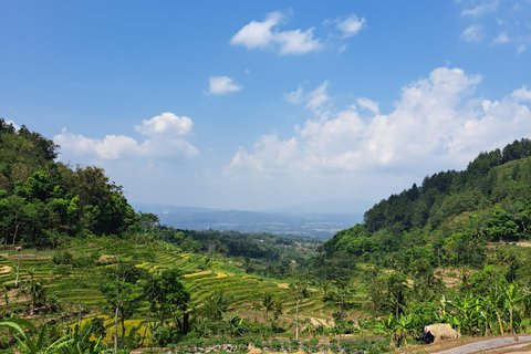 From Yogyakarta: Selogriyo Rice Terraces to Hidden Waterfall