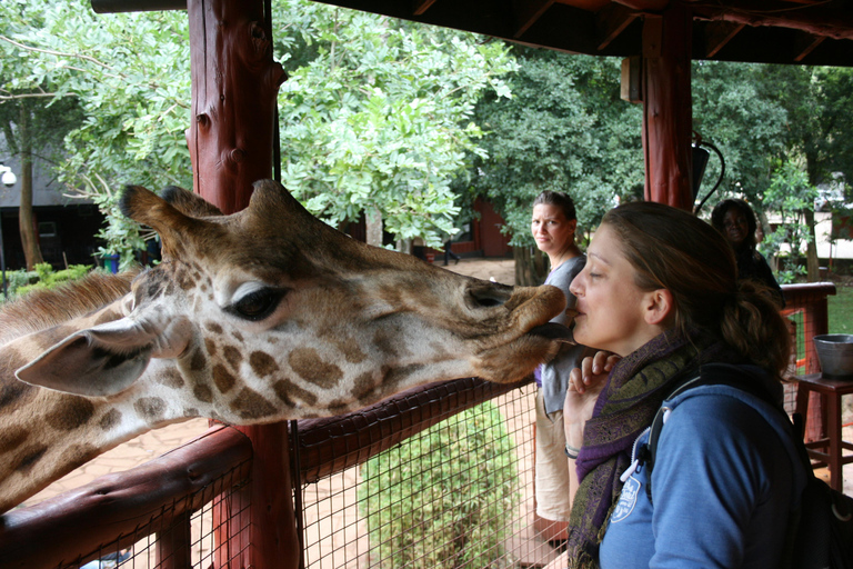 Guidad tur: Elefantbarnhem och Giraffcenter-Nairobi