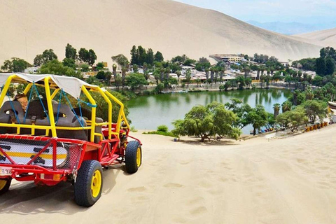 Ica : Planche à sable et buggy dans l&#039;oasis de Huacachina