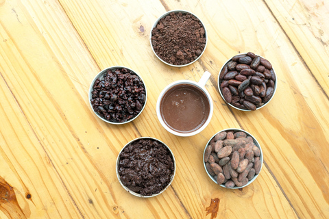 TALLER DE CACAO EN CASA JOCOLATE