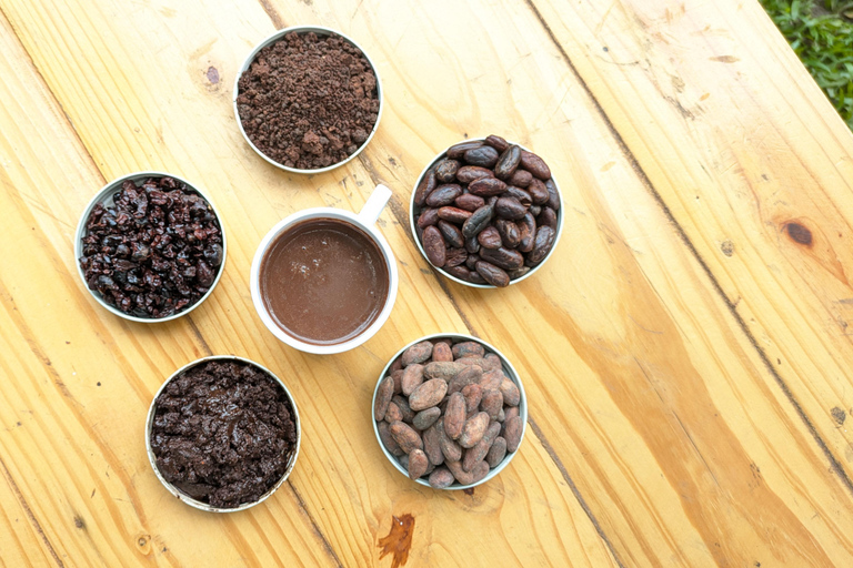 COCOA WORKSHOP AT CASA JOCOLATE