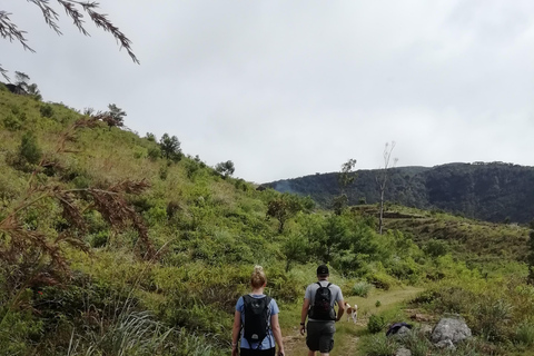 Hantana Mountain Range Pekoe Trail Full Day Hike from Kandy