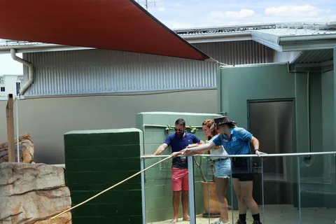 Expérience VIP à Crocosaurus Cove