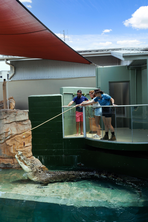 Darwin: VIP Crocosaurus Cove Experience GetYourGuide
