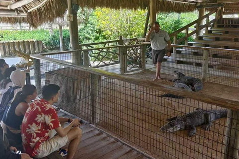 Miami to Everglades Small Group Max 12 Half-Day Tour Half-Day Tour