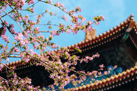 Beijing: Forbidden City Admission Ticket + Tour Guide